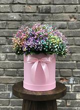 Цветочная композиция из Гипсофила и Розы в шляпной коробке #REPLACE_PRED# Устье