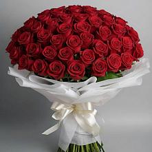 Букет 101 Красная роза Блэк Мэджик в Устье