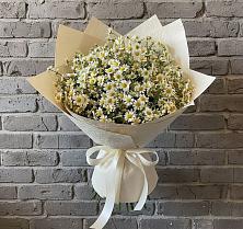 Букет цветов из:  Ромашки в Устье