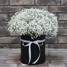 Цветочная композиция из Гипсофила в шляпной коробке #REPLACE_PRED# Устье