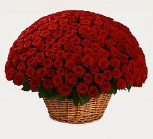 Премиум букет из: Розы в Устье