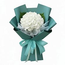 Букет цветов из:  Гортензия #REPLACE_PRED# Устье